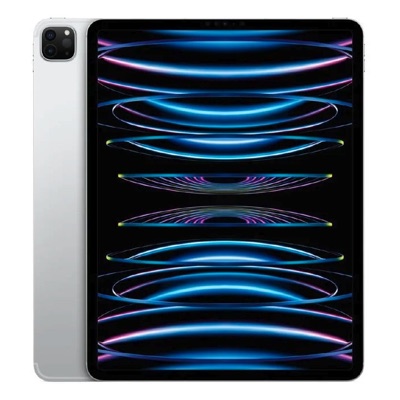 iPad Pro M4 / M5